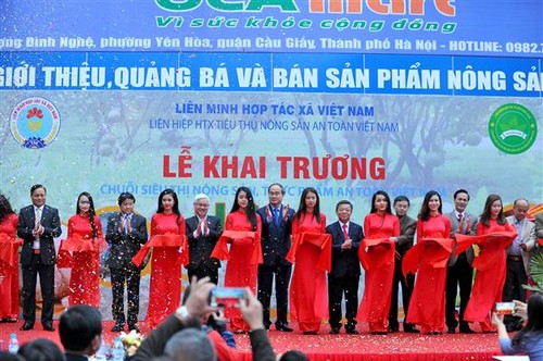 Открылась сеть супермаркетов по продаже безопасной вьетнамской сельхозпродукции - ảnh 1